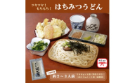 ＜のし付き＞はちみつうどん500g×1袋　約2～3人前(半生うどん)【1507021】