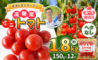 【6月発送】 高糖度 ミニトマト スイートベル （ ヘタなし ） 150g × 12P | 野菜 トマト ミニトマト プチトマト トマト 高糖度 トマト とまと 小分け 千葉 君津 きみつ