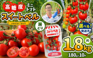 【12月発送】 高糖度 ミニトマト スイートベル （ 房どり ） 180g × 10P | 野菜 トマト ミニトマト プチトマト トマト 高糖度 トマト とまと 小分け 君津とまとガーデン 千葉 君津 きみつ