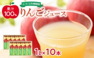 りんごジュース☆果汁100%・10本入り
