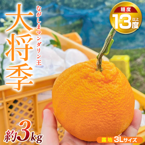 【先行予約】ながしまマンダリン王【露地】(大将季) 約3kg【ながしまマンダリングループ】mandarin-7196 1338692 - 鹿児島県長島町