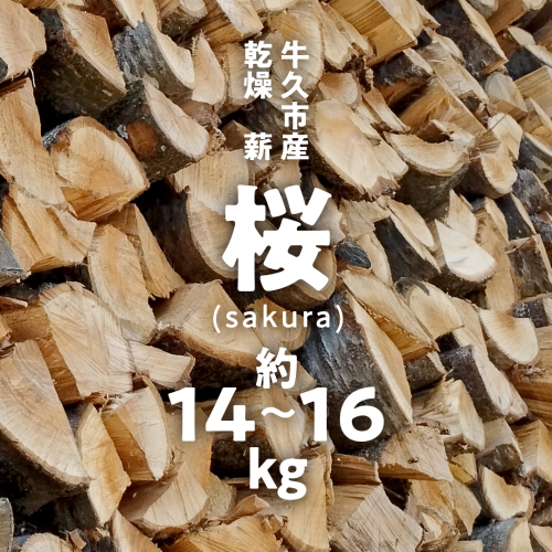 牛久市産 乾燥 薪 桜 ( さくら ) 約14kg～16kg 天然木 マキ 乾燥薪 広葉樹 キャンプ アウトドア 焚火 焚き火 薪ストーブ 暖炉 たき火 野外 屋外 バーベキュー薪 ピザ窯の薪 グリル焼 1338748 - 茨城県牛久市