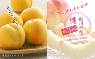 鮭川村産「桃」品種おまかせ 　約3kg