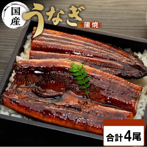 年内発送 国内産うなぎ蒲焼4尾（タレ・山椒付き）合計500g以上【申込は2025年12月24日まで】 1338789 - 和歌山県有田川町