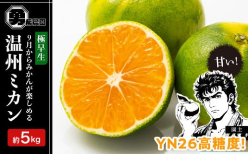 先行予約極早生温州ミカン YN26 約5kg サイズ混合 和歌山県 有田みかん 2025年9月下旬頃発送 1338799 - 和歌山県有田川町