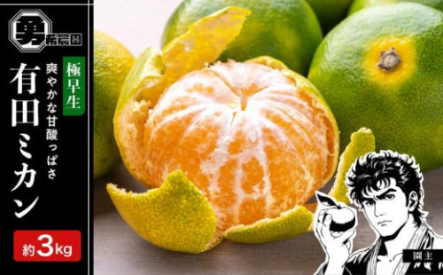 先行予約極早生みかん 約3kg サイズ混合 和歌山県 有田みかん 2025年10月中旬頃発送 1338800 - 和歌山県有田川町