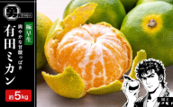 先行予約極早生みかん 約5kg サイズ混合 和歌山県 有田みかん 2025年10月中旬頃発送