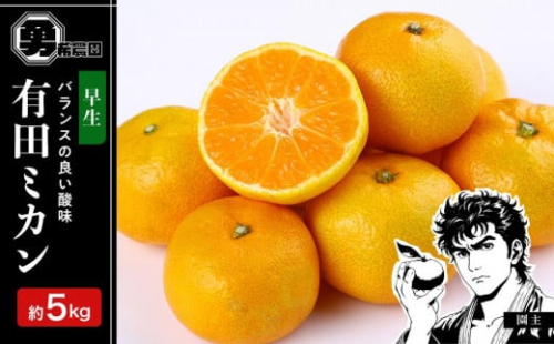 先行予約早生みかん 約5kg サイズ混合 和歌山県 有田みかん  2025年11月中旬頃発送 1338804 - 和歌山県有田川町