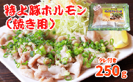 特上豚ホルモン 焼き用250g タレ付き【さくら亭】/ ホルモン鍋 豚肉 ホルモン