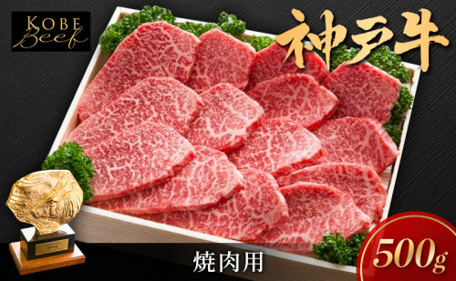 神戸ビーフ KSY2 焼肉用 500g 神戸牛 焼肉 太田家 冷凍 肉 牛肉 小分け 1339420 - 兵庫県加西市