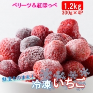 鮮度そのまま! 冷凍完熟いちご / ベリーツ&紅ほっぺ 1.2kg (300g×4P)_2418R