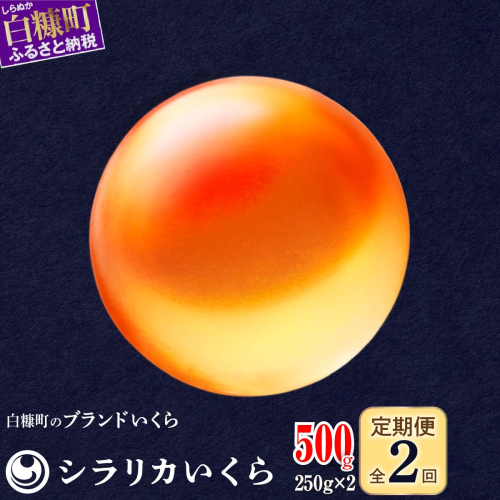 年2回お届け定期便 シラリカいくら（生いくら） 500g(250g×2) お好みに味付けができます いくら イクラ 生いくら 生イクラ 小分け いくら醤油漬 鮭いくら 鮭イクラ イクラ醤油漬 鮭 鮭卵 いくら醤油漬け 醤油いくら 醤油イクラ ikura 冷凍いくら いくら無添加 いくら鮭 ふるさと納税 北海道 白糠町
 1340034 - 北海道白糠町