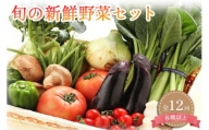 定期便 旬の新鮮野菜詰め合わせ 8種以上 全12回【野菜セット】
