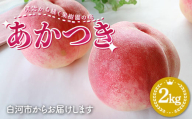 [2026年出荷分先行予約]明治から続く果樹園の桃「あかつき」2kg(玉数おまかせ) 桃 モモ もも 果物 くだもの フルーツ 福島県 白河市 F24R-212