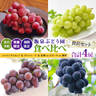 【 先行予約 】【 数量限定 】【 期間限定 】絶品！飯泉ぶどう園の おすすめ ぶどう 4種 （ シャインマスカット ＆ クインニ—ナ ＆ 巨峰 or ピオーネ or 藤稔 ）食べ比べ 贅沢セット（ 合計 4房 ） 2025年8月下旬～発送開始 シャインマスカット クインニ—ナ 巨峰 ピオーネ 藤稔 贅沢 飯泉ぶどう園 産直 新鮮 採れたて ふるさと納税