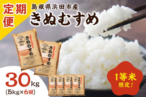 【令和7年産】【新米先行予約】浜田市産きぬむすめ30kg（5kg×6回コース）【定期便】きぬむすめ 定期便 お米 お取り寄せ 特産 精米 白米 ごはん ご飯 コメ 新米 玄米 一等米 30kg 30キロ 応援 準備 【197_1956】 1340244 - 島根県浜田市