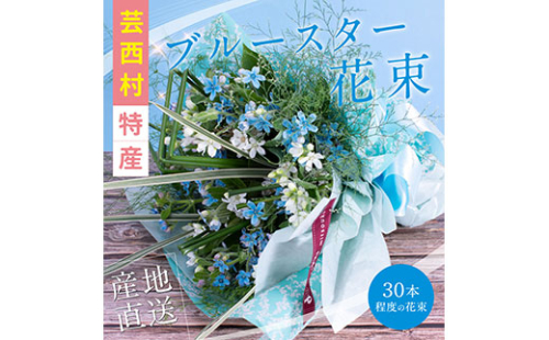 JJM002　《先行予約》芸西村特産ブルースター花束（約30本程度の花束） 134049 - 高知県芸西村