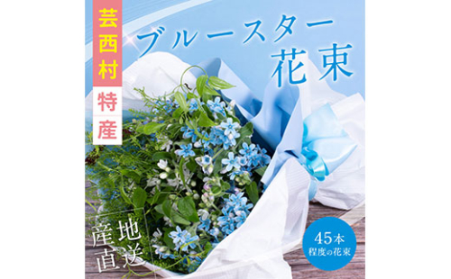 JJM003　《先行予約》芸西村特産ブルースター花束（約45本程度の花束） 134050 - 高知県芸西村