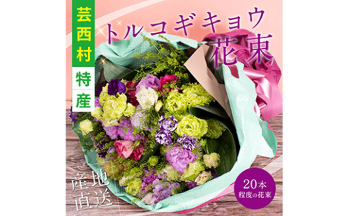 JJM006　《先行予約》芸西村特産 トルコギキョウ花束（約20本程度の花束） 134053 - 高知県芸西村
