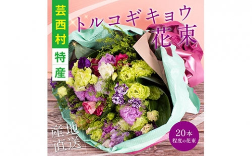 《先行予約》芸西村特産 トルコギキョウ花束（約20本程度の花束） 134053 - 高知県芸西村