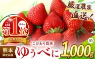 イチゴ 生産量 西 日本一 ‼ 厳選農家直送 いちご ゆうべに 約 1000g | フルーツ 果物 くだもの 苺 いちご  熊本県 玉名市