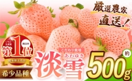 イチゴ 生産量 西 日本一 ‼ 厳選農家直送 いちご 淡雪 約 500g | フルーツ 果物 くだもの 苺 いちご 白 いちご 淡雪 熊本県 玉名市