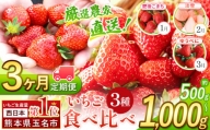 【 定期便 3回 】 イチゴ 生産量 西 日本一 玉名市 ‼  3種 いちご 500g or 1000g | フルーツ 果物 くだもの 苺 いちご 白 いちご 淡雪 熊本県 玉名市