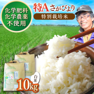 佐賀県産 特別栽培米Aランク <白米>さがびより 10kg(5kg×2) 吉野ヶ里町/種まきの会[FBO010]