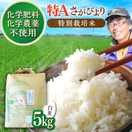 佐賀県産 特別栽培米Aランク　さがびより<白米>5kg 吉野ヶ里町/種まきの会 [FBO016]