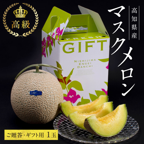 SKS023　緊急支援　高知県産 高級マスクメロン（ご贈答・ギフト用）1玉入〈南国市共通返礼品〉【発送期間：4月～12月（9カ月）】【1月～3月は気候温度不安定の為出荷不可となります。】 134079 - 高知県芸西村