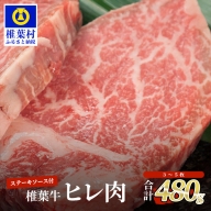 宮崎県産 椎葉牛 ヒレ肉 【480g】ステーキソース付き
