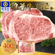 宮崎県産 椎葉牛 ロースステーキ【400g】お試しステーキソース付き