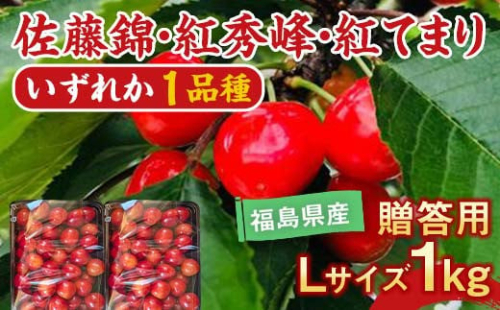 【先行予約】さくらんぼ 佐藤錦 紅秀峰 紅てまりのどれか1品種 1kg Lサイズ 贈答用 ＜有我果樹園＞ F7X-0229 1340929 - 福島県須賀川市