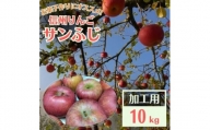 信州りんご 加工用 10kg サンふじ【1508406】