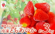 栃木のこでらんない冷凍イチゴ（とちあいか） | とちあいか いちご イチゴ 完熟 高糖度 日本一 栃木県 甘味が強い 酸味が少ない