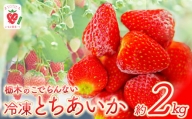 BV05 栃木のこでらんない冷凍イチゴ（とちあいか） | とちあいか いちご イチゴ 完熟 酸味が少ない 高糖度 栃木県 日本一