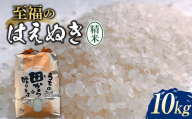 令和6年 【先行予約】 至福のはえぬき 10kg 米 お米 おこめ 山形県 新庄市 F3S-2056
