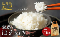 令和6年 【先行予約】 魅惑のはえぬき 5kg 米 お米 おこめ 山形県 新庄市 F3S-2058
