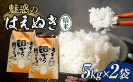 令和6年 魅惑のはえぬき 10kg（5kg×2） 米 お米 おこめ 山形県 新庄市 F3S-2064