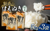 令和6年 魅惑のはえぬき 15kg（5kg×3） 米 お米 おこめ 山形県 新庄市 F3S-2067