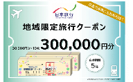 日本旅行 地域限定旅行クーポン 300,000円 A-38