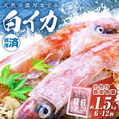 BBQに最適！　白イカ（ケンサキイカ）　調理済み　正味1.5K入り（6～12匹）　※小分け真空包装 1341962 - 京都府京丹後市