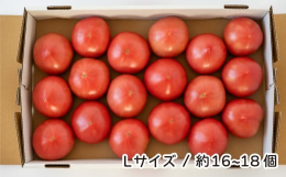 埼玉県北本市にある「加藤義明とまと農園」（旧トマトファーム）より、旬のトマトをお届けします！ ＜おすすめポイント１＞代々守られた有機の肥料を使って栽培したトマトです 鎌倉時代から代々続く農家さんで、ト