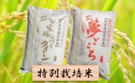 特別栽培米★白米4kg【ミルキークイーン・夢ごこち】