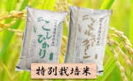 特別栽培米★白米4kg【コシヒカリ・ミルキークイーン】