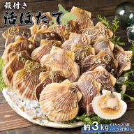 北海道 羽幌町産 殻付き活ホタテ 約3kg（15～20枚・ヘラ付き）【0910204】