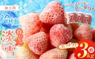 冷凍 白 いちご 淡雪 約 3kg | 果物 フルーツ 苺 イチゴ スムージー ジャム 加工用 夏 アイス