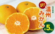 訳あり 熊本県産 温州みかん 約 5kg | 果物 くだもの フルーツ 柑橘 柑橘類 みかん ミカン 温州 大小混合 熊本県 玉名市