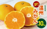 訳あり 熊本県産 温州みかん 約 10kg | 果物 くだもの フルーツ 柑橘 柑橘類 みかん ミカン 温州 大小混合 熊本県 玉名市