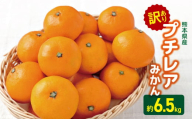 訳あり プチレア みかん 約 6.5kg （ 小玉サイズ ） | 果物 くだもの フルーツ 柑橘 柑橘類 みかん ミカン 大小混合 熊本県 玉名市